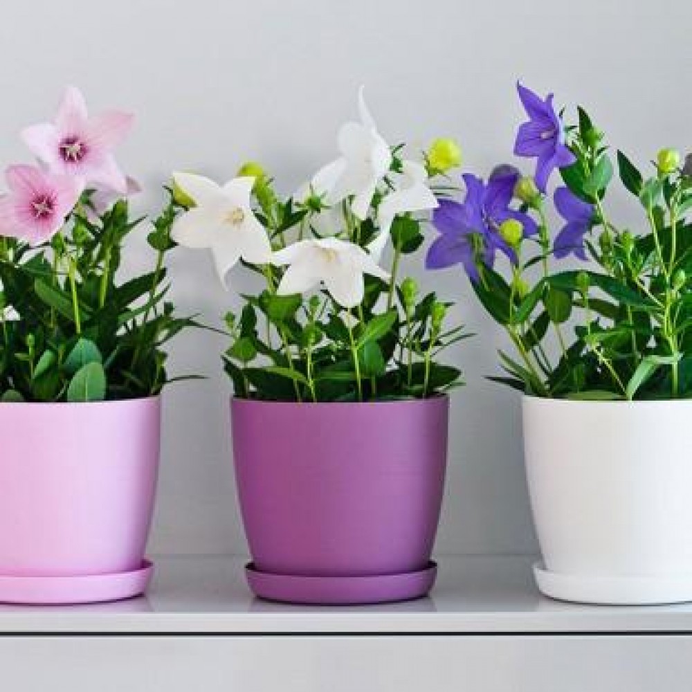 White Pastel Aga Mat Flower Pots with saucer tray